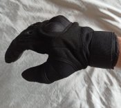 IMG_20200810_131132.jpg