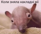 изображение_viber_2020-08-11_08-33-45.jpg