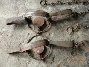 капкан на волка.(1 штука).находка в одном из заброшенных домов.