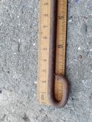 IMG_20200810_064855.jpg