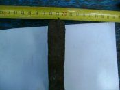 DSC00036.JPG