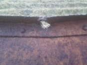 20200811_202504.jpg