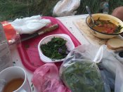 IMG_20200808_191710.jpg