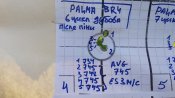 IMG_20200606_180117.jpg