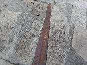 IMG_20200813_070426.jpg