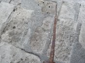IMG_20200813_070423.jpg