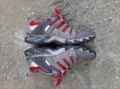 20200803_113524.jpg