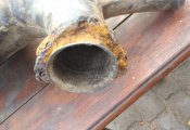 IMG_20200810_190330.jpg