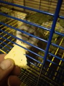 IMG_20200803_032557.jpg