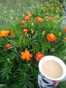 IMG_20200814_063754.jpg