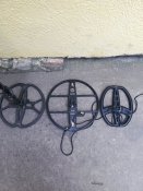 IMG_20200811_134429.jpg