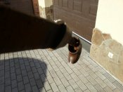 20130227_092521.jpg