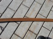 20130227_092624.jpg