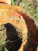 IMG_5429.JPG