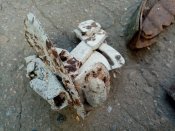 IMG_20200814_182518.jpg