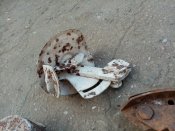 IMG_20200814_182547.jpg