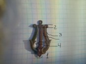 IMG_20200815_184533.jpg