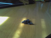 IMG_20130227_133502.jpg