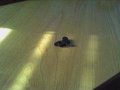 IMG_20130227_133331.jpg