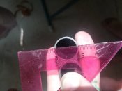 IMG_20200816_141904.jpg