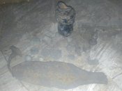 IMG_20200816_200919.jpg