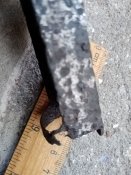 IMG_20200819_064849.jpg
