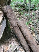 IMG_20200816_130916.jpg
