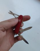 IMG_20200819_224204.jpg