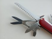 IMG_20200820_081728.jpg