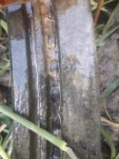 20200817_151135.jpg