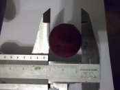 DSCF5830.jpg