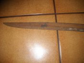 DSCN9239.jpg