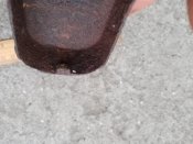 IMG_20200821_190241.jpg