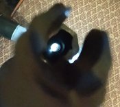 IMG_20200821_195356.jpg