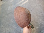 IMG_20200823_075825.jpg