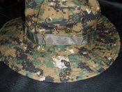 DSCI0362.jpg