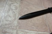 IMG_5151.jpg