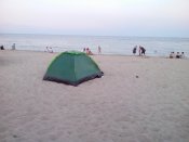 IMG_20200729_202901.jpg