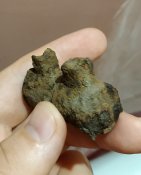 IMG_20200824_175556.jpg