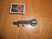 DSCN1318.jpg