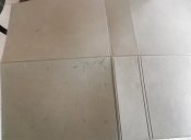 IMGP2281.JPG