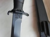 IMG_20200818_060432.jpg