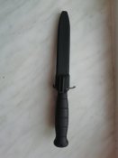 IMG_20200818_060339.jpg