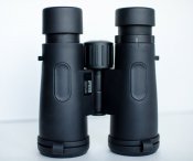 RAW_8290.jpg