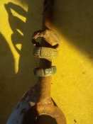 IMG_20200825_072018.jpg