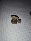IMG_20200825_222341.jpg