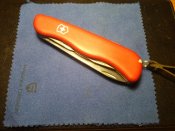 IMG_20200826_021314.jpg