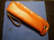 IMG_20200826_021506.jpg