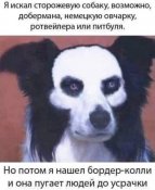 1598324897_kartinki-12.jpg