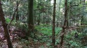 IMG_20200828_155516.jpg